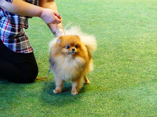 N&auml;yttely-tehokurssi kaikentasoisille