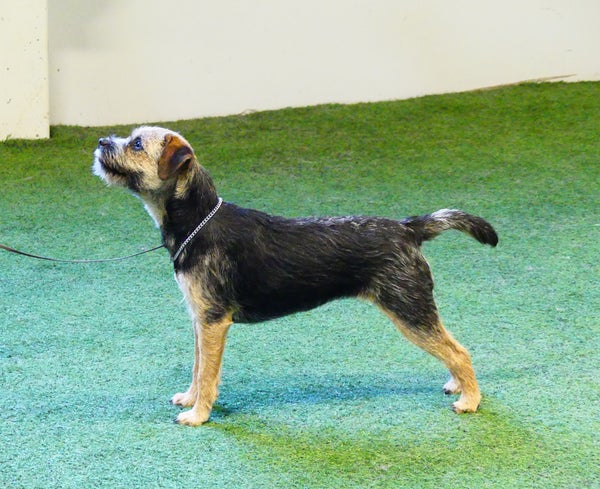 To N&auml;yttelytreenit klo 20-21