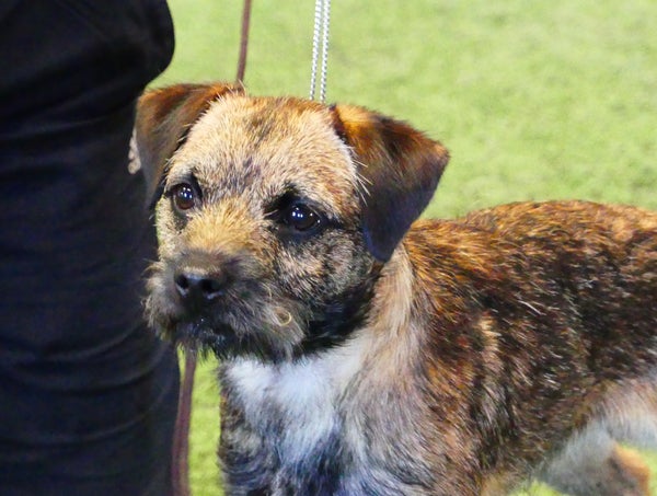 PRO-H eli PerustottelevaisuusPRO-jatkokurssi: H&auml;iri&ouml;kest&auml;vyys & Luotettavuus