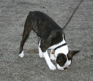 Maastolajien tutustumiskurssi