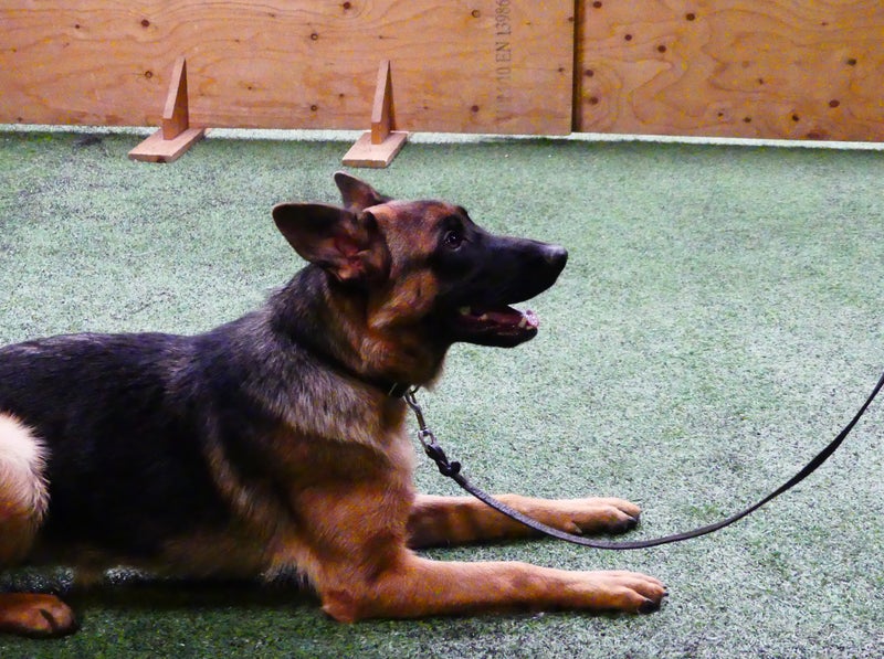 BH-kurssi kaikentasoisille