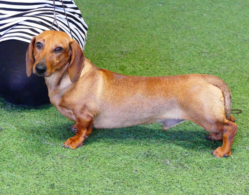 Ke N&auml;yttelytreenit klo 19:05-20