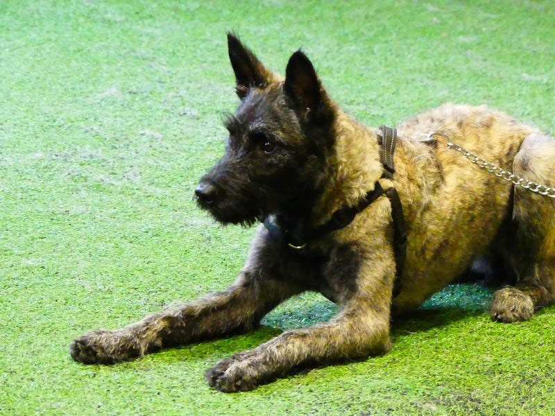 Hihnak&auml;yt&ouml;s- ja Ohitus -yksil&ouml;koulutus