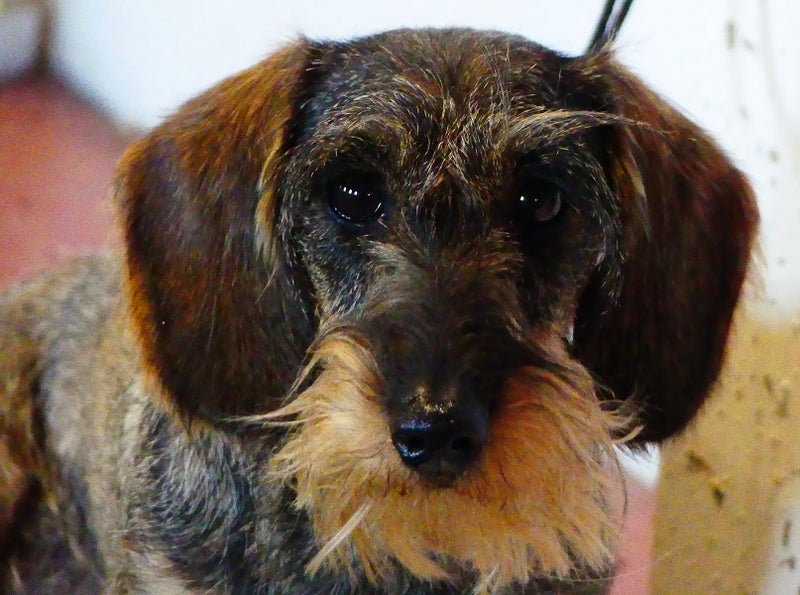 PerustottelevaisuusPRO1: Koulutuksen perusteet