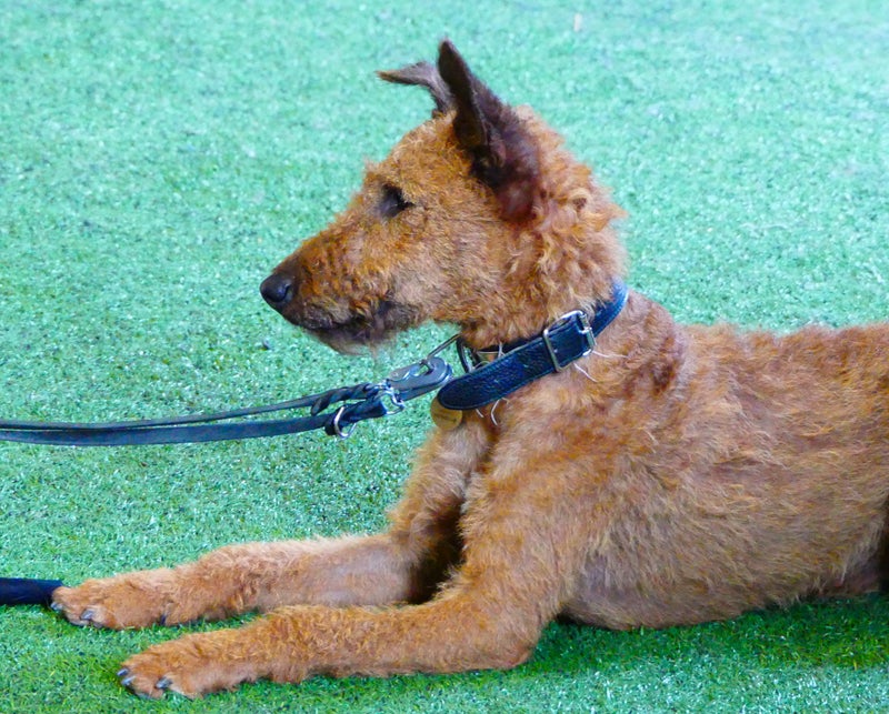 Toko-kurssit kaikentasoisille