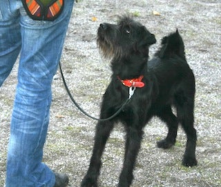 PRO-K eli PerustottelevaisuusPRO-jatkokurssi: K&auml;skyt & Taidot