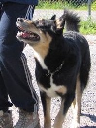 LaumaPaketti