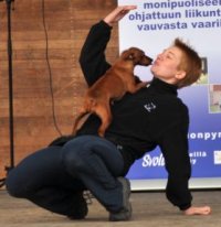 Koiratanssin Valmennusryhm&auml; sunnuntaisin