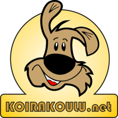 Hihnak&auml;yt&ouml;s- ja Ohitus-koulutus